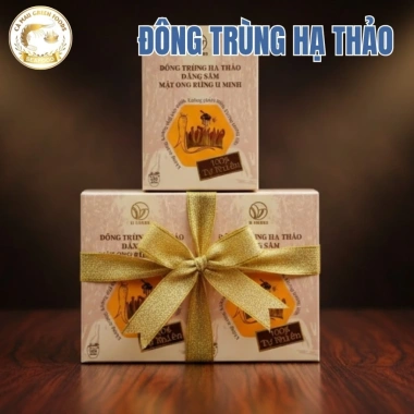 Đông Trùng Hạ Thảo Đảng Sâm, Mật Ong Rừng U Minh – Bồi Bổ Sức Khỏe, Tăng Đề Kháng, Giảm Mệt Mỏi, Ngủ Ngon 4 Đông Trùng Hạ Thảo Đảng Sâm, Mật Ong Rừng U Minh – Bồi Bổ Sức Khỏe, Tăng Đề Kháng, Giảm Mệt Mỏi, Ngủ Ngon 4