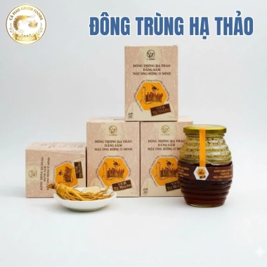 Đông Trùng Hạ Thảo Đảng Sâm, Mật Ong Rừng U Minh – Bồi Bổ Sức Khỏe, Tăng Đề Kháng, Giảm Mệt Mỏi, Ngủ Ngon 5 Đông Trùng Hạ Thảo Đảng Sâm, Mật Ong Rừng U Minh – Bồi Bổ Sức Khỏe, Tăng Đề Kháng, Giảm Mệt Mỏi, Ngủ Ngon 5