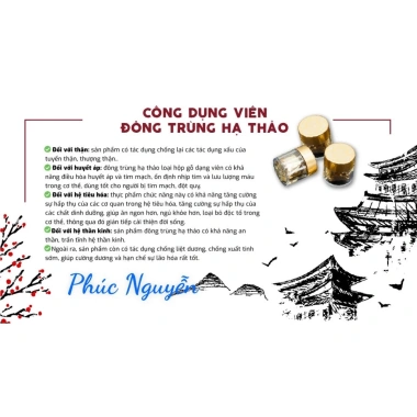 Đông Trùng Hạ Thảo Kanghwa Hàn Quốc Hộp Gỗ 60 Viên - Ngừa Đột Quỵ Tai Biến