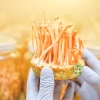 Đông trùng hạ thảo khô 100g thơm sạch – Bồi, tăng đề kháng, sức khỏe – 95.000₫ 2
