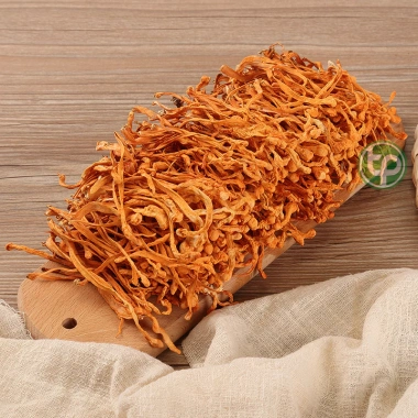 Đông trùng hạ thảo khô 100g thơm sạch – Bồi, tăng đề kháng, sức khỏe – 95.000₫
