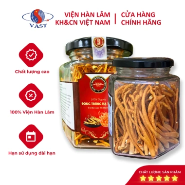 Đông Trùng Hạ Thảo Khô 15g Mẫu Đỏ Viện Hàn Lâm - Tăng Cường Hệ Miễn Dịch, Giá 345.000 VND