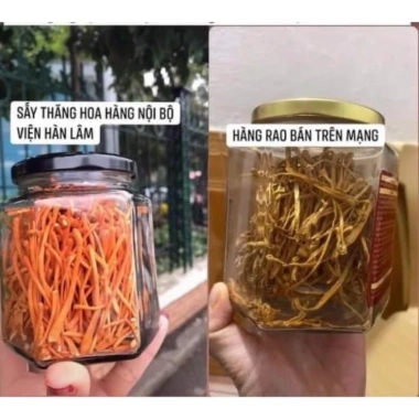 Đông Trùng Hạ Thảo Khô 15g Mẫu Đỏ Viện Hàn Lâm - Tăng Cường Hệ Miễn Dịch, Giá 345.000 VND