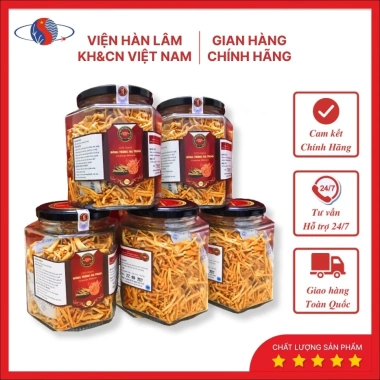 Đông Trùng Hạ Thảo Khô 35 Viện Hàn Lâm KH&CN VN Tăng Cường Miễn Dịch Mẫu Đỏ Gãy Giá Ưu Đãi 579k