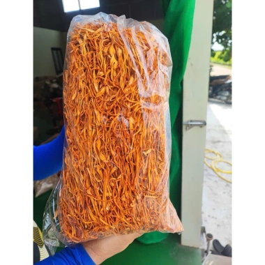 Đông trùng hạ thảo khô 500gr 2.025 - Bồi bổ sức khỏe, ăn trực tiếp hoặc hầm gà, chỉ 170.000đ 9