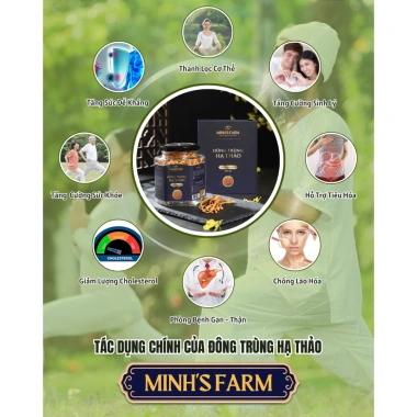 Đông Trùng Hạ Thảo Khô Sấy 30g - Hộp Quà Tặng Minhs Farm Giá Ưu Đãi 890k