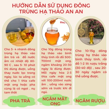Đông Trùng Hạ Thảo Khô Sấy Thăng Hoa AN AN Vip Cao Cấp Đóng Hộp 10-25gr 289k