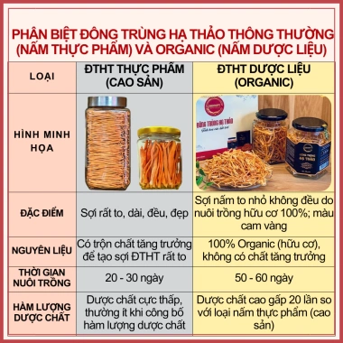Đông Trùng Hạ Thảo Khô Sấy Thăng Hoa CordyHappy 12.5g - Giảm 22% Tăng Sức Đề Kháng 2