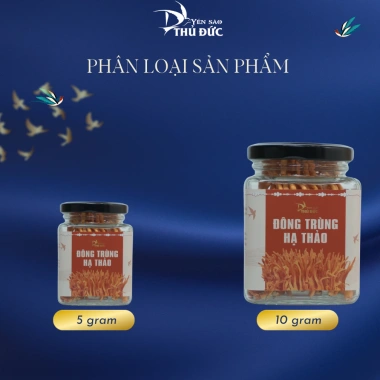 Đông Trùng Hạ Thảo Loại 1 Sấy Thăng Hoa 10g - Yến Sào Thủ Đức, Giá ưu đãi 249.000₫ (giá gốc 301.290₫) 3