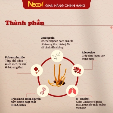 Đông Trùng Hạ Thảo Ngâm Mật Ong 500ml Necovi - Hoa Rừng, Táo Đỏ, Kỷ Tử Mộc, Giá 169.000đ 2