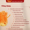 Đông Trùng Hạ Thảo Ngâm Mật Ong 500ml Necovi - Hoa Rừng, Táo Đỏ, Kỷ Tử Mộc, Giá 169.000đ 3
