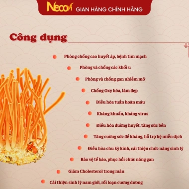 Đông Trùng Hạ Thảo Ngâm Mật Ong 500ml Necovi - Hoa Rừng, Táo Đỏ, Kỷ Tử Mộc, Giá 169.000đ 3