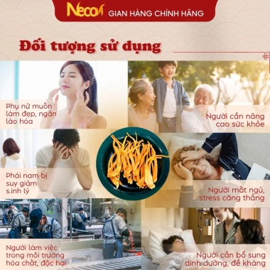 Đông Trùng Hạ Thảo Ngâm Mật Ong 500ml Necovi - Hoa Rừng, Táo Đỏ, Kỷ Tử Mộc, Giá 169.000đ 6