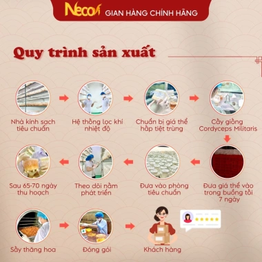 Đông Trùng Hạ Thảo Ngâm Mật Ong 500ml Necovi - Hoa Rừng, Táo Đỏ, Kỷ Tử Mộc, Giá 169.000đ 7