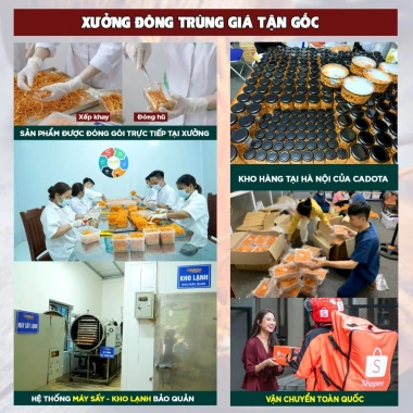 Đông trùng hạ thảo ngâm mật ong Cadota 500ml - Giá 495.000đ, tăng sức đề kháng