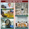 Đông trùng hạ thảo ngâm mật ong Cadota 500ml - Giá 495.000đ, tăng sức đề kháng 5