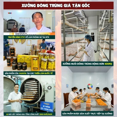 Đông trùng hạ thảo ngâm mật ong Cadota 500ml - Giá 495.000đ, tăng sức đề kháng