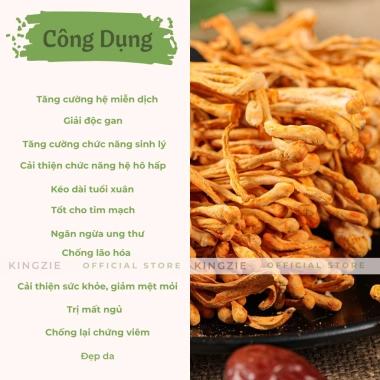 Đông Trùng Hạ Thảo Sấy Khô 100g Thượng Hạng KINGZIE Đẹp Da, Sức Khỏe- Giá 29.000 VND