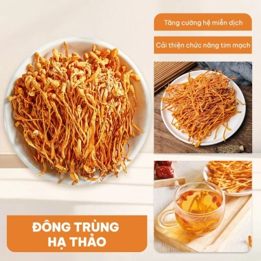 Đông trùng hạ thảo sấy khô 100g - trà, hầm canh, ngâm mật ong, giá 40.000 VND