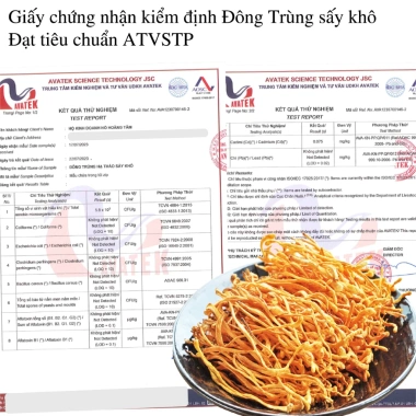 Đông trùng hạ thảo sấy khô - Chống lão hóa, tăng trí nhớ, 46.000₫ - Tiệm Hoàng Tâm