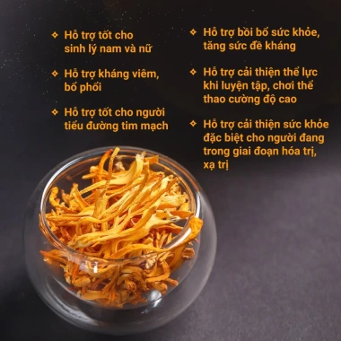Đông trùng hạ thảo sấy khô Dược Quý Đường 20g - Tự nhiên, bồi bổ cơ thể, 1.262.000 VND 4