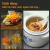 Đông trùng hạ thảo sấy khô Dược Quý Đường 20g - Tự nhiên, bồi bổ cơ thể, 1.262.000 VND 5