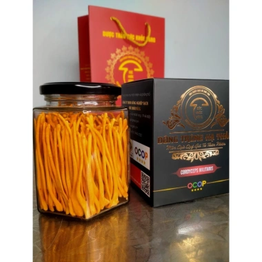 Đông trùng hạ thảo sấy thăng hoa 20g loại 1 sợi - Giá 156.000đ, tăng sức đề kháng 2