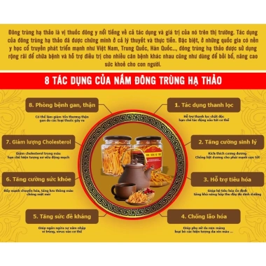 Đông trùng hạ thảo sấy thăng hoa 20g loại 1 sợi - Giá 156.000đ, tăng sức đề kháng 5