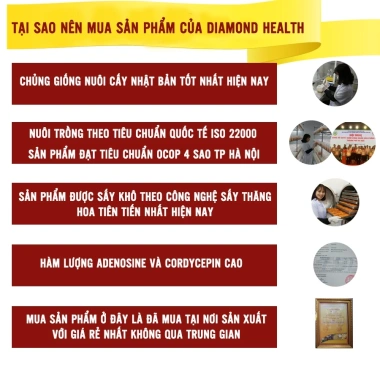 Đông trùng hạ thảo sấy thăng hoa 40g loại rối ít gãy - Ăn ngon ngủ ngon, có vỏ hộp, giảm còn 165.750 VND 5