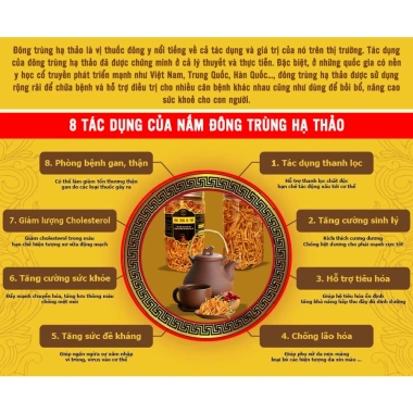 Đông trùng hạ thảo sấy thăng hoa 40g loại rối ít gãy - Ăn ngon ngủ ngon, có vỏ hộp, giảm còn 165.750 VND 7