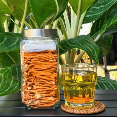 Đông Trùng Hạ Thảo Sấy Thăng Hoa Sợi Đặc Biệt 50g - Hữu Cơ, Nuôi Trồng Tại Xưởng, Giá chỉ 399.000₫
