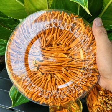 Đông Trùng Hạ Thảo Sấy Thăng Hoa Sợi Đặc Biệt 50g - Hữu Cơ, Nuôi Trồng Tại Xưởng, Giá chỉ 399.000₫ 5 Đông Trùng Hạ Thảo Sấy Thăng Hoa Sợi Đặc Biệt 50g - Hữu Cơ, Nuôi Trồng Tại Xưởng, Giá chỉ 399.000₫ 5