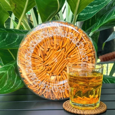 Đông Trùng Hạ Thảo Sấy Thăng Hoa Sợi Đặc Biệt 50g - Hữu Cơ, Nuôi Trồng Tại Xưởng, Giá chỉ 399.000₫