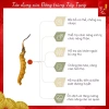 Đông Trùng Hạ Thảo Tây Tạng Nguyên Con 10 con Size 5 - Khô Tự Nhiên, Tăng Sức Đề Kháng, Giá Giảm 1.49 Triệu 3