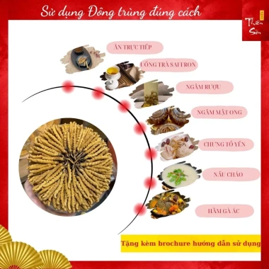 Đông Trùng Hạ Thảo Tây Tạng Nguyên Con 10 con Size 5 - Khô Tự Nhiên, Tăng Sức Đề Kháng, Giá Giảm 1.49 Triệu