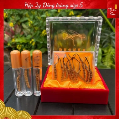 Đông Trùng Hạ Thảo Tây Tạng Nguyên Con 10 con Size 5 - Khô Tự Nhiên, Tăng Sức Đề Kháng, Giá Giảm 1.49 Triệu