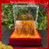Đông Trùng Hạ Thảo Tây Tạng Nguyên Con 10 con Size 5 - Khô Tự Nhiên, Tăng Sức Đề Kháng, Giá Giảm 1.49 Triệu 9