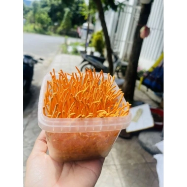 Đông Trùng Hạ Thảo Tươi 1 Hộp - Tăng Cường Sức Khỏe, Hỗ Trợ Miễn Dịch, Giá 70,000đ
