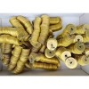 Đồng xu âm dương phong thủy - Thu hút tài lộc, giá ưu đãi 32.000₫ (giá gốc 41.280₫) 3