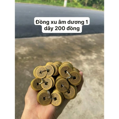 Đồng xu âm dương phong thủy - Thu hút tài lộc, giá ưu đãi 32.000₫ (giá gốc 41.280₫) 5