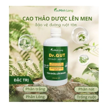 DR GUT Thảo Dược Lên Men Phòng Xử Lý Phân Trắng - Tốt Ruột Khỏe Gan 500ml Giá 199k