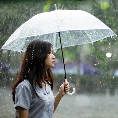 Dù Trong Suốt Che Mưa Loại Dày Thời Trang, Tiện Lợi, Giá Ưu Đãi 39.000 VNĐ