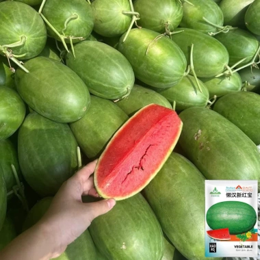 Dưa Hấu Đường Siêu Ngọt, Vỏ Mỏng - Giá chỉ 19,000 VNĐ, Tươi Ngon, Giá Rẻ Dưa Hấu Đường Siêu Ngọt, Vỏ Mỏng - Giá chỉ 19,000 VNĐ, Tươi Ngon, Giá Rẻ