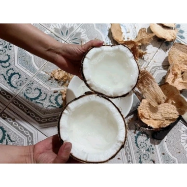 DỪA SÁP Loại 2 Lỏng 1ky5 - Ngon, Dễ làm Mứt, Giá 79.000 VNĐ (Giảm từ 95.590)