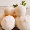 Dừa Xiêm Miền Tây Gọt Trọc Trắng KACOCO - Ngọt, Mỏng Vỏ, Nước Nhiều, Giải Khát, Giảm Nhiệt, Uống Liền 1 trái 13.680đ 2
