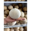 Dừa Xiêm Miền Tây Gọt Trọc Trắng KACOCO - Ngọt, Mỏng Vỏ, Nước Nhiều, Giải Khát, Giảm Nhiệt, Uống Liền 1 trái 13.680đ 3
