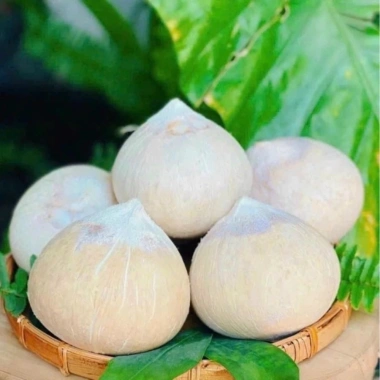 Dừa Xiêm Miền Tây Gọt Trọc Trắng KACOCO - Ngọt, Mỏng Vỏ, Nước Nhiều, Giải Khát, Giảm Nhiệt, Uống Liền 1 trái 13.680đ 5