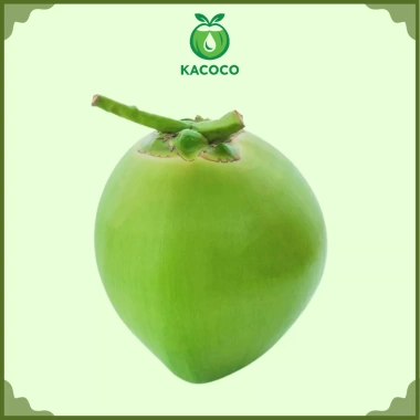 Dừa Xiêm Miền Tây Gọt Trọc Trắng KACOCO - Ngọt, Mỏng Vỏ, Nước Nhiều, Giải Khát, Giảm Nhiệt, Uống Liền 1 trái 13.680đ 9