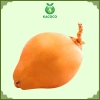 Dừa Xiêm Miền Tây Gọt Trọc Trắng KACOCO - Ngọt, Mỏng Vỏ, Nước Nhiều, Giải Khát, Giảm Nhiệt, Uống Liền 1 trái 13.680đ 10