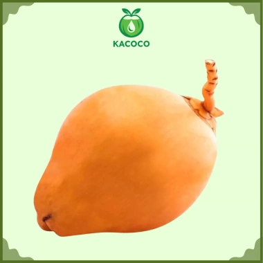 Dừa Xiêm Miền Tây Gọt Trọc Trắng KACOCO - Ngọt, Mỏng Vỏ, Nước Nhiều, Giải Khát, Giảm Nhiệt, Uống Liền 1 trái 13.680đ 10